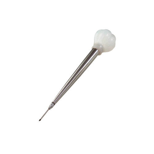 Stainless Steel Baster