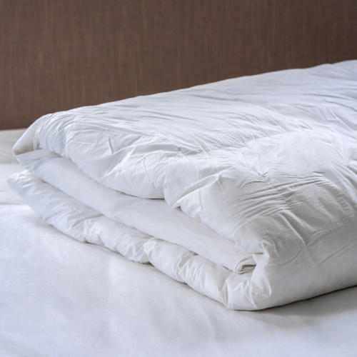 White Goose Feather And Down Duvet 