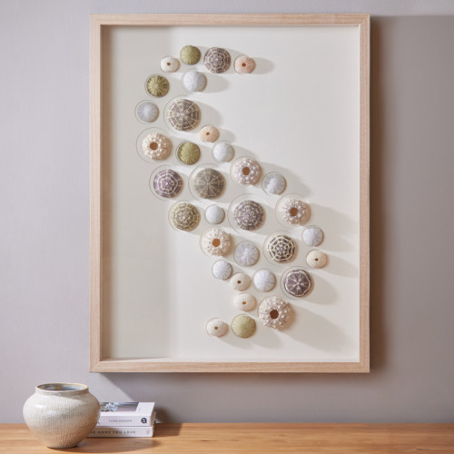Sea Urchin Wall Art - (Right)