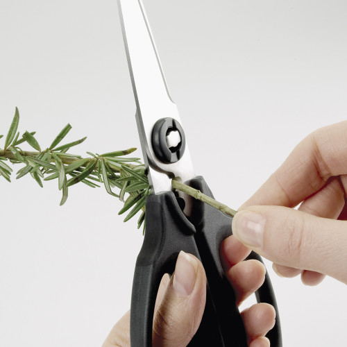 OXO Kitchen - Herb Scissors 