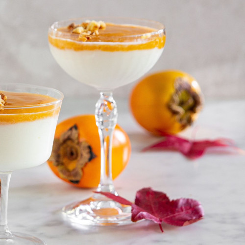 Americana Cocktail Coupe Set of 6