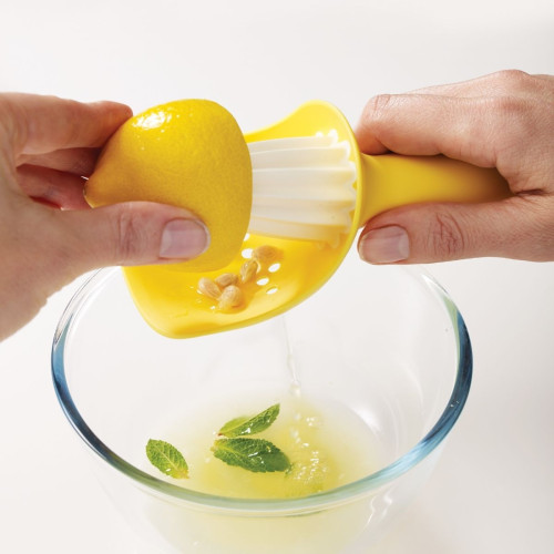 Citrus Reamer