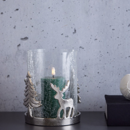 Deer In Forest Hurricane 