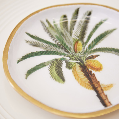 Palm Tree Dish